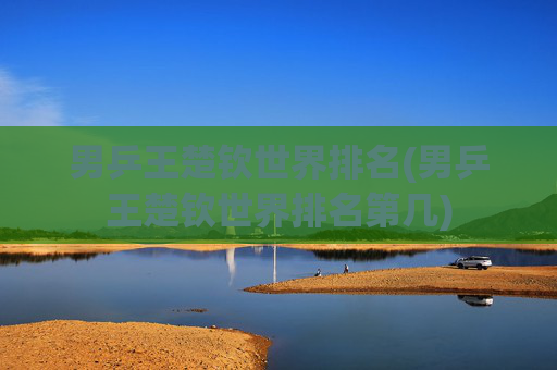 男乒王楚钦世界排名(男乒王楚钦世界排名第几)