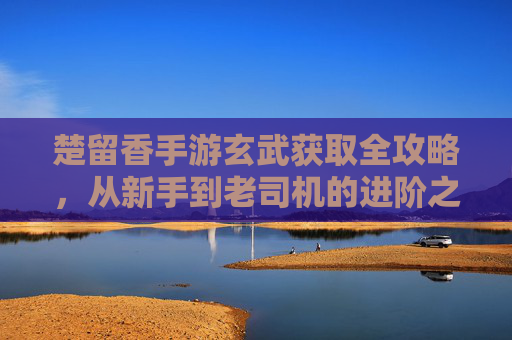 楚留香手游玄武获取全攻略，从新手到老司机的进阶之路，楚留香手游玄武获取全攻略，从新手到老司机的进阶之路