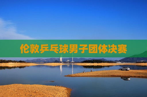 伦敦乒乓球男子团体决赛