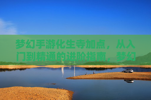 梦幻手游化生寺加点，从入门到精通的进阶指南，梦幻手游化生寺加点，从入门到精通的进阶指南