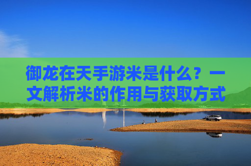 御龙在天手游米是什么？一文解析米的作用与获取方式，御龙在天手游米是什么？一文解析米的作用与获取方式