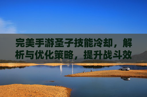 完美手游圣子技能冷却，解析与优化策略，提升战斗效率