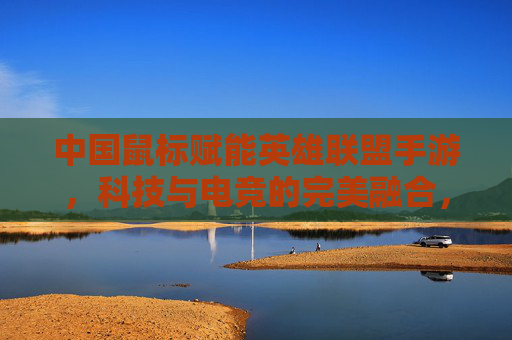 中国鼠标赋能英雄联盟手游,科技与电竞的完美融合,重塑游戏体验,中国鼠标赋能英雄联盟手游,科技与电竞的完美融合,重塑游戏体验