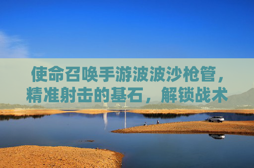 使命召唤手游波波沙枪管，精准射击的基石，解锁战术新维度，使命召唤手游波波沙枪管，精准射击的基石，解锁战术新维度