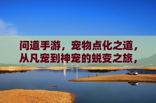 问道手游,宠物点化之道,从凡宠到神宠的蜕变之旅,问道手游,宠物点化之道,从凡宠到神宠的蜕变之旅