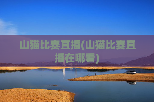 山猫比赛直播(山猫比赛直播在哪看)