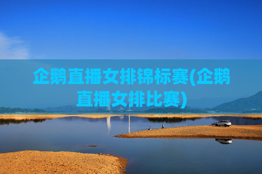 企鹅直播女排锦标赛(企鹅直播女排比赛)