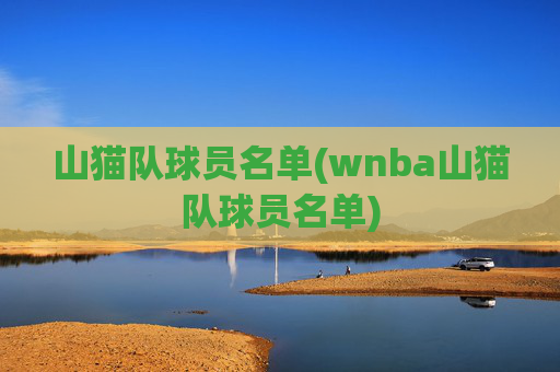 山猫队球员名单(wnba山猫队球员名单)