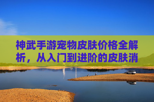 神武手游宠物皮肤价格全解析，从入门到进阶的皮肤消费指南，神武手游宠物皮肤价格全解析，从入门到进阶的皮肤消费指南
