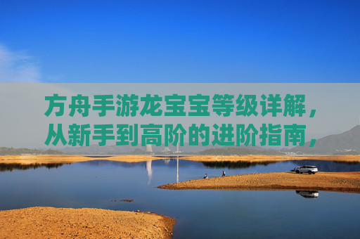 方舟手游龙宝宝等级详解，从新手到高阶的进阶指南，方舟手游龙宝宝等级详解，从新手到高阶的进阶指南