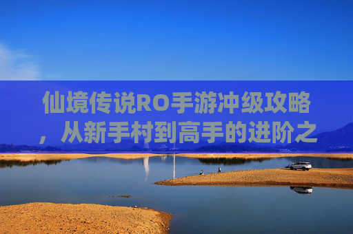仙境传说RO手游冲级攻略，从新手村到高手的进阶之路，仙境传说RO手游冲级攻略，从新手村到高手的进阶之路