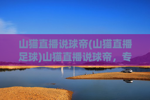 山猫直播说球帝(山猫直播足球)山猫直播说球帝，专业足球赛事直播与赛事分析平台