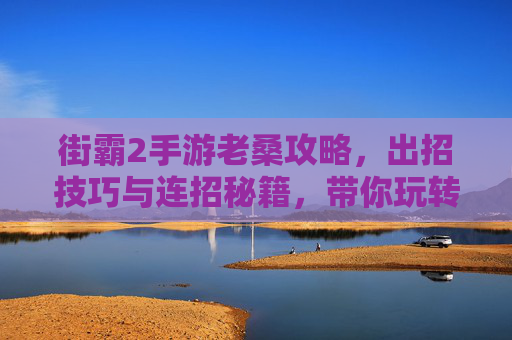街霸2手游老桑攻略,出招技巧与连招秘籍,带你玩转经典角色,街霸2手游老桑攻略,出招技巧与连招秘籍,玩转经典角色
