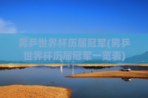 男乒世界杯历届冠军(男乒世界杯历届冠军一览表)