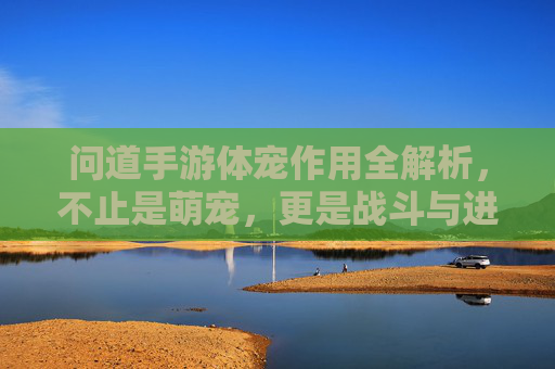 问道手游体宠作用全解析,不止是萌宠,更是战斗与进阶的强大助力,问道手游体宠作用全解析,不止是萌宠,更是战斗与进阶的强大助力
