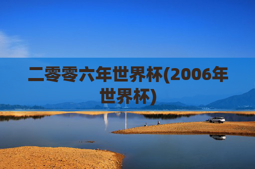 二零零六年世界杯(2006年世界杯)