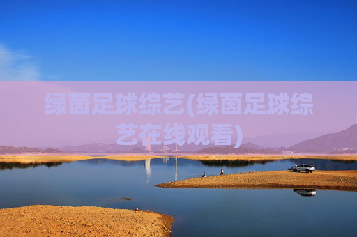 绿茵足球综艺(绿茵足球综艺在线观看)