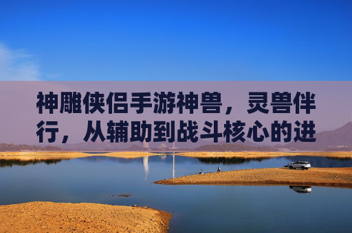 神雕侠侣手游神兽，灵兽伴行，从辅助到战斗核心的进化之旅，神雕侠侣手游神兽进化，从辅助伙伴到战斗核心的蜕变之旅