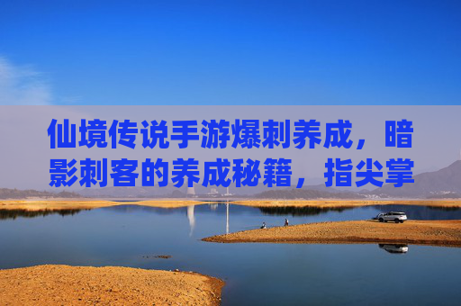 仙境传说手游爆刺养成,暗影刺客的养成秘籍,指尖掌控的致命一击,仙境传说手游爆刺养成,暗影刺客的致命一击秘籍