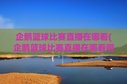企鹅篮球比赛直播在哪看(企鹅篮球比赛直播在哪看啊)