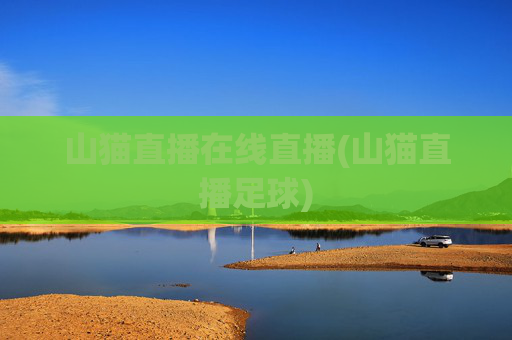 山猫直播在线直播(山猫直播足球)