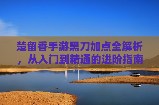 楚留香手游黑刀加点全解析，从入门到精通的进阶指南，楚留香手游黑刀加点全解析，从入门到精通的进阶指南