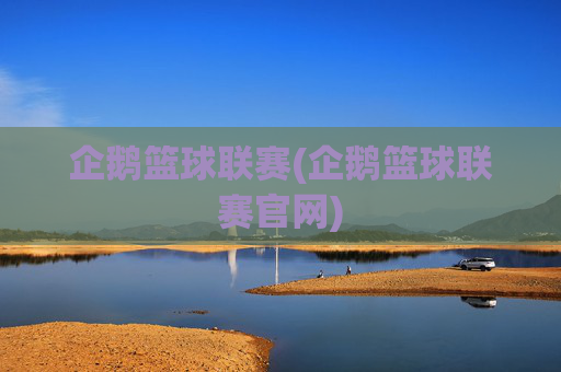 企鹅篮球联赛(企鹅篮球联赛官网)
