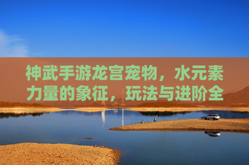 神武手游龙宫宠物，水元素力量的象征，玩法与进阶全解析，神武手游龙宫宠物，水元素力量的象征，玩法与进阶全解析