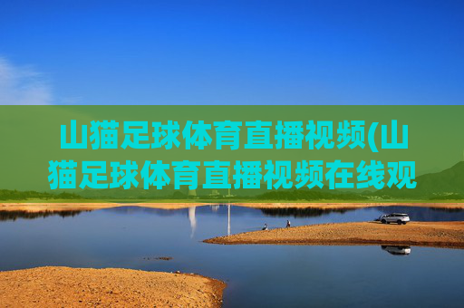 山猫足球体育直播视频(山猫足球体育直播视频在线观看)