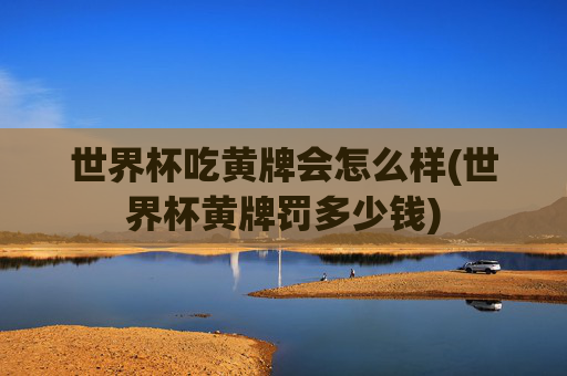 世界杯吃黄牌会怎么样(世界杯黄牌罚多少钱)