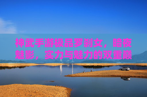 神武手游极品罗刹女，暗夜魅影，实力与魅力的双重巅峰，神武手游极品罗刹女，暗夜魅影，实力与魅力的双重巅峰