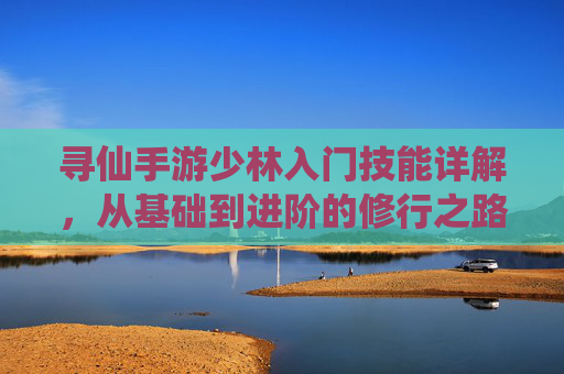 寻仙手游少林入门技能详解，从基础到进阶的修行之路