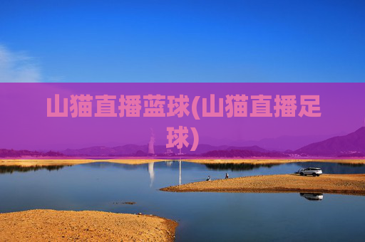山猫直播蓝球(山猫直播足球)