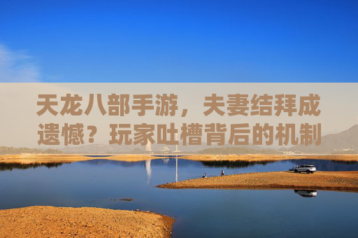 天龙八部手游，夫妻结拜成遗憾？玩家吐槽背后的机制逻辑与期待，天龙八部手游夫妻结拜成遗憾？玩家吐槽背后的机制逻辑与期待