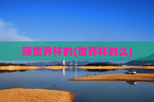嗯世界杯的(世界杯的么)