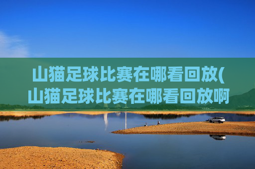 山猫足球比赛在哪看回放(山猫足球比赛在哪看回放啊)