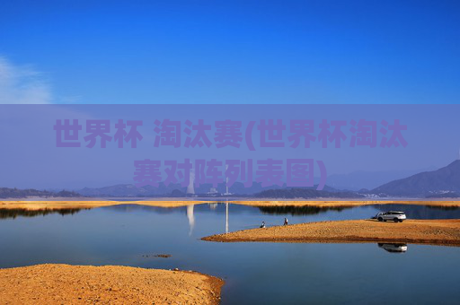 世界杯 淘汰赛(世界杯淘汰赛对阵列表图)