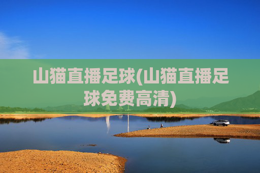 山猫直播足球(山猫直播足球免费高清)