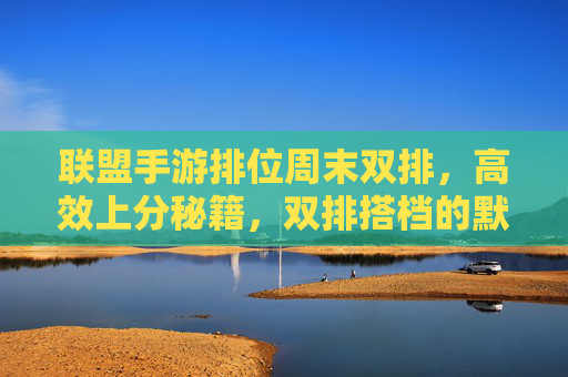 联盟手游排位周末双排,高效上分秘籍,双排搭档的默契与策略指南