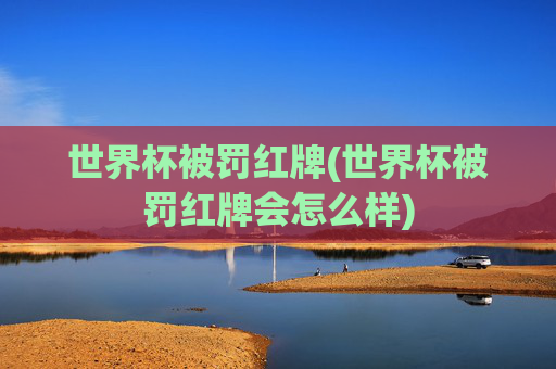 世界杯被罚红牌(世界杯被罚红牌会怎么样)