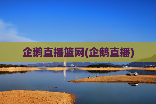 企鹅直播篮网(企鹅直播)