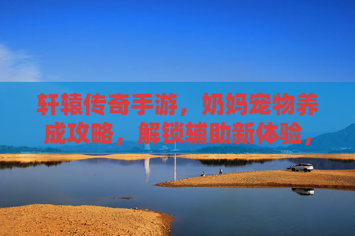 轩辕传奇手游，奶妈宠物养成攻略，解锁辅助新体验，守护神途的温暖力量，轩辕传奇手游奶妈宠物养成攻略，解锁辅助新体验，温暖守护神途