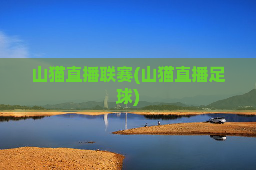 山猫直播联赛(山猫直播足球)