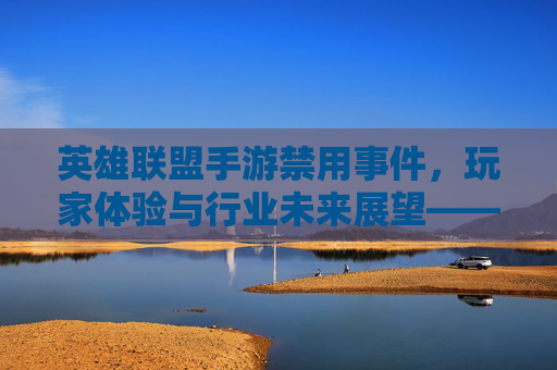 英雄联盟手游禁用事件，玩家体验与行业未来展望——从禁用现象看游戏行业的平衡之道