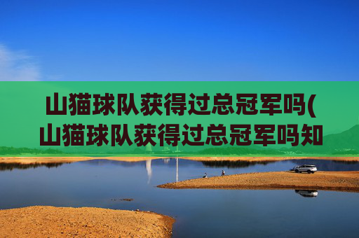 山猫球队获得过总冠军吗(山猫球队获得过总冠军吗知乎)