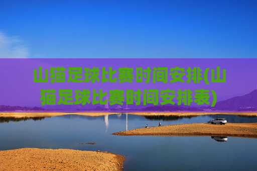 山猫足球比赛时间安排(山猫足球比赛时间安排表)