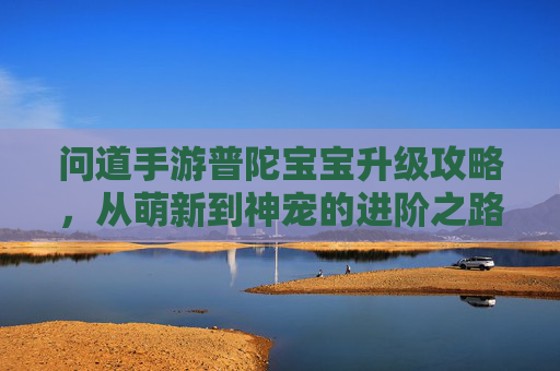 问道手游普陀宝宝升级攻略,从萌新到神宠的进阶之路,问道手游普陀宝宝升级攻略,从萌新到神宠的进阶之路