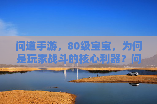 问道手游,80级宝宝,为何是玩家战斗的核心利器?问道手游,80级宝宝为何是玩家战斗的核心利器?