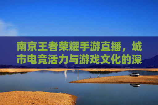 南京王者荣耀手游直播，城市电竞活力与游戏文化的深度融合，南京王者荣耀手游直播，城市电竞活力与游戏文化深度融合