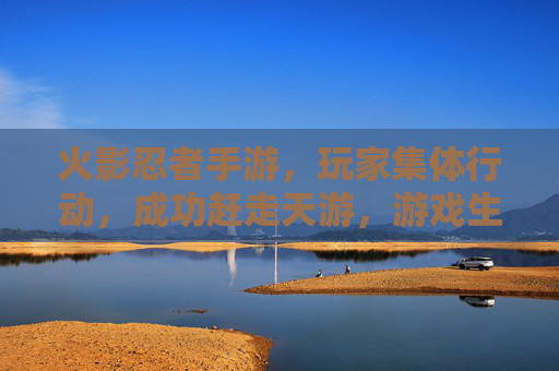 火影忍者手游，玩家集体行动，成功赶走天游，游戏生态迎来新转机，火影忍者手游玩家集体行动赶走天游 游戏生态迎来新转机